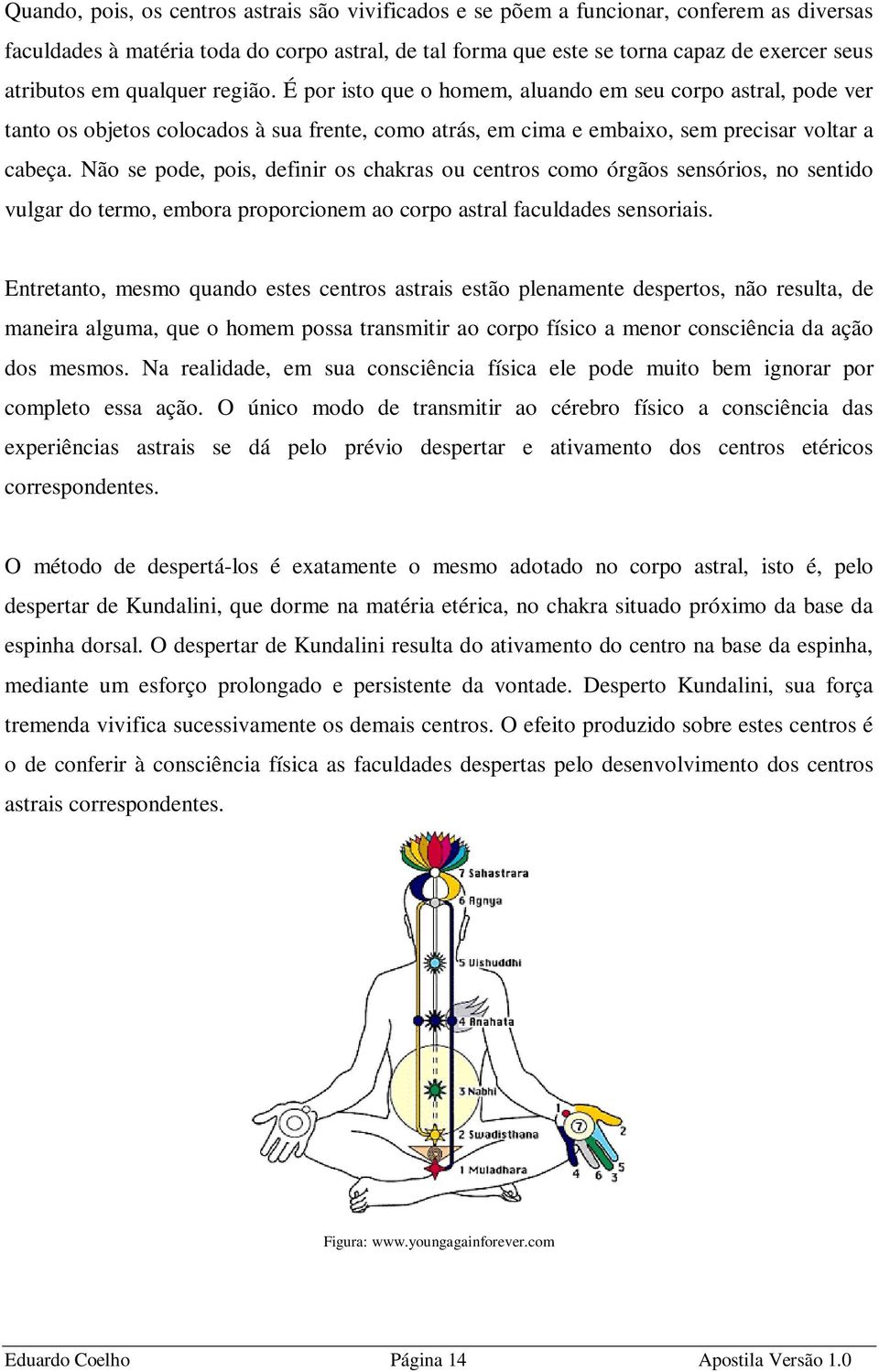 Não se pode, pois, definir os chakras ou centros como órgãos sensórios, no sentido vulgar do termo, embora proporcionem ao corpo astral faculdades sensoriais.