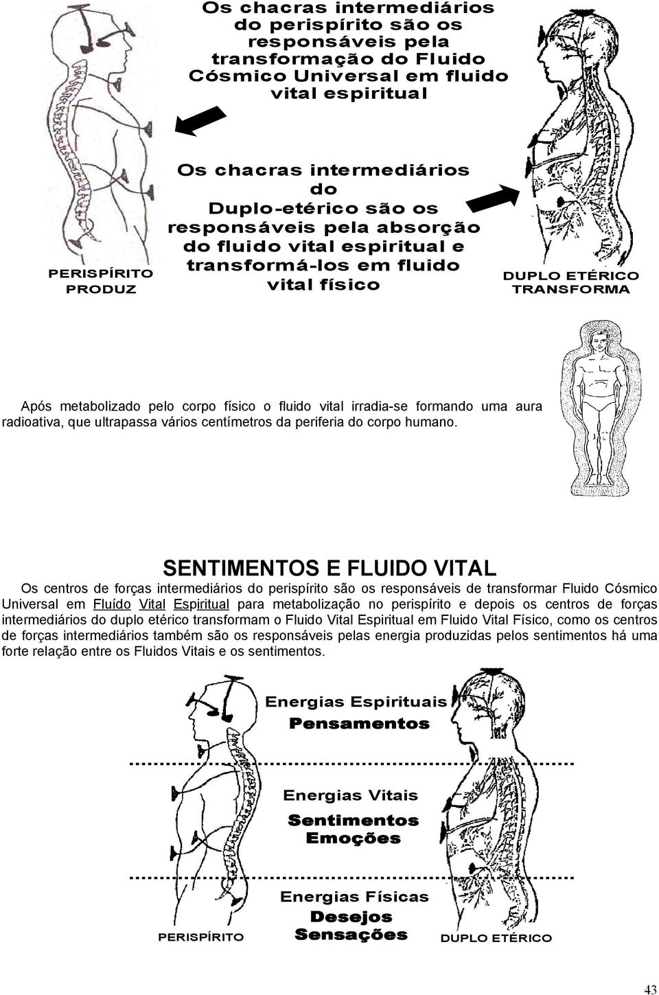 uma aura radioativa, que ultrapassa vários centímetros da periferia do corpo humano.