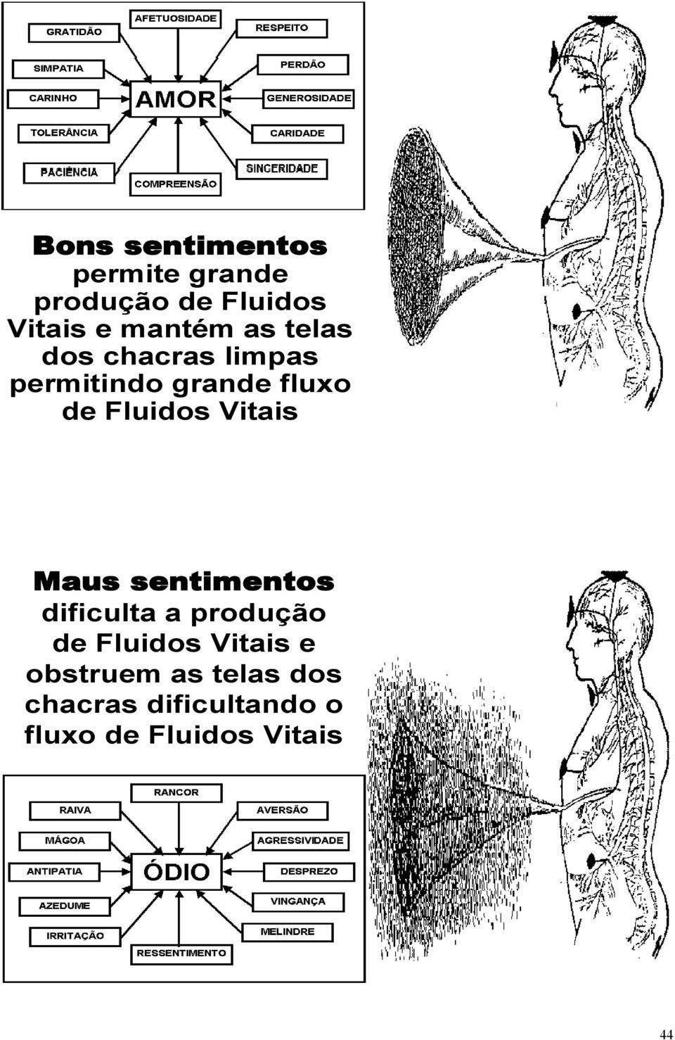 Fluidos Vitais Maus sentimentos dificulta a produção de Fluidos