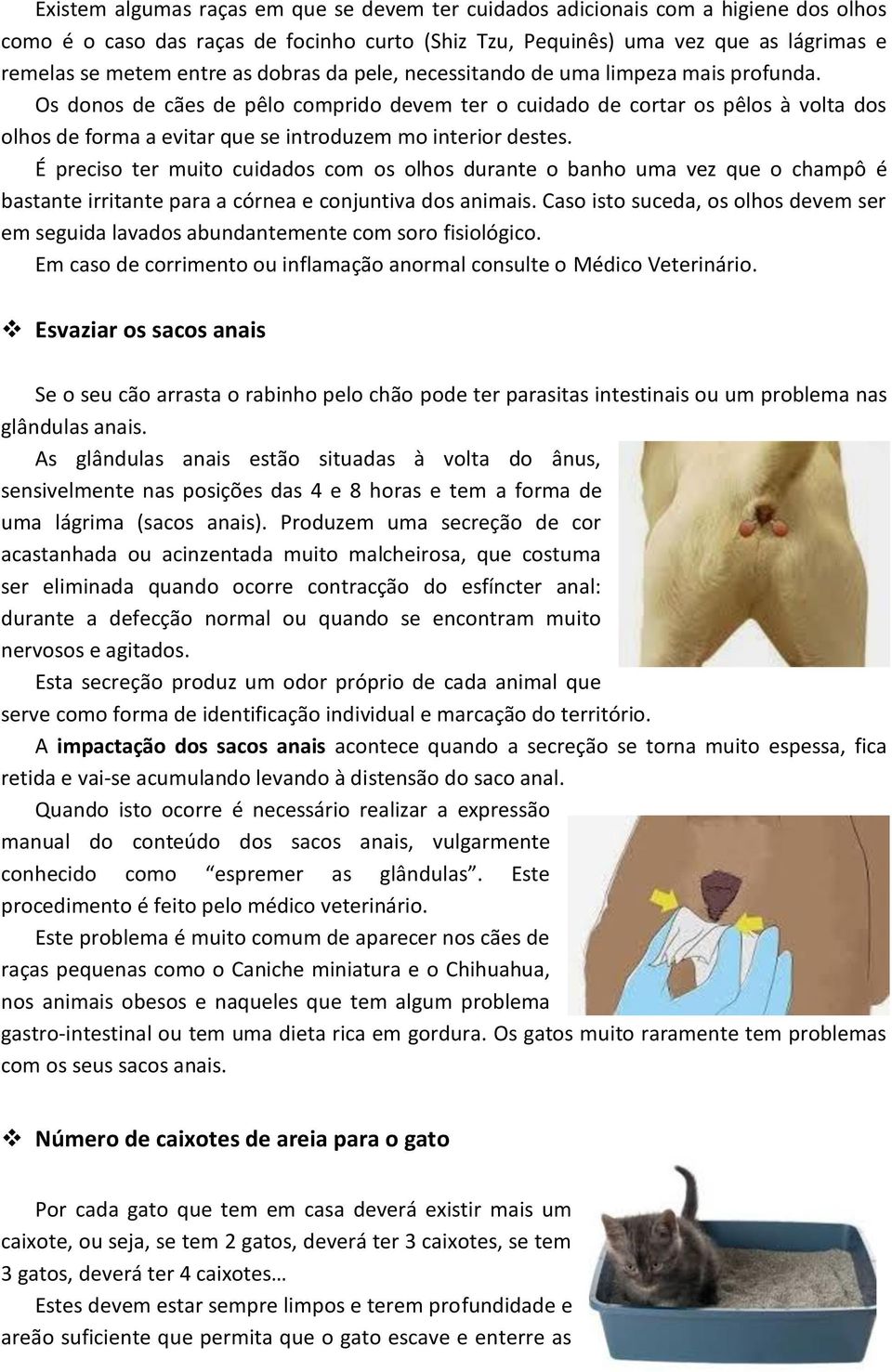 Os donos de cães de pêlo comprido devem ter o cuidado de cortar os pêlos à volta dos olhos de forma a evitar que se introduzem mo interior destes.