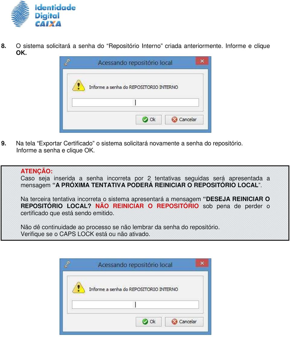 ATENÇÃO: Caso seja inserida a senha incorreta por 2 tentativas seguidas será apresentada a mensagem A PRÓXIMA TENTATIVA PODERÁ REINICIAR O REPOSITÓRIO LOCAL.