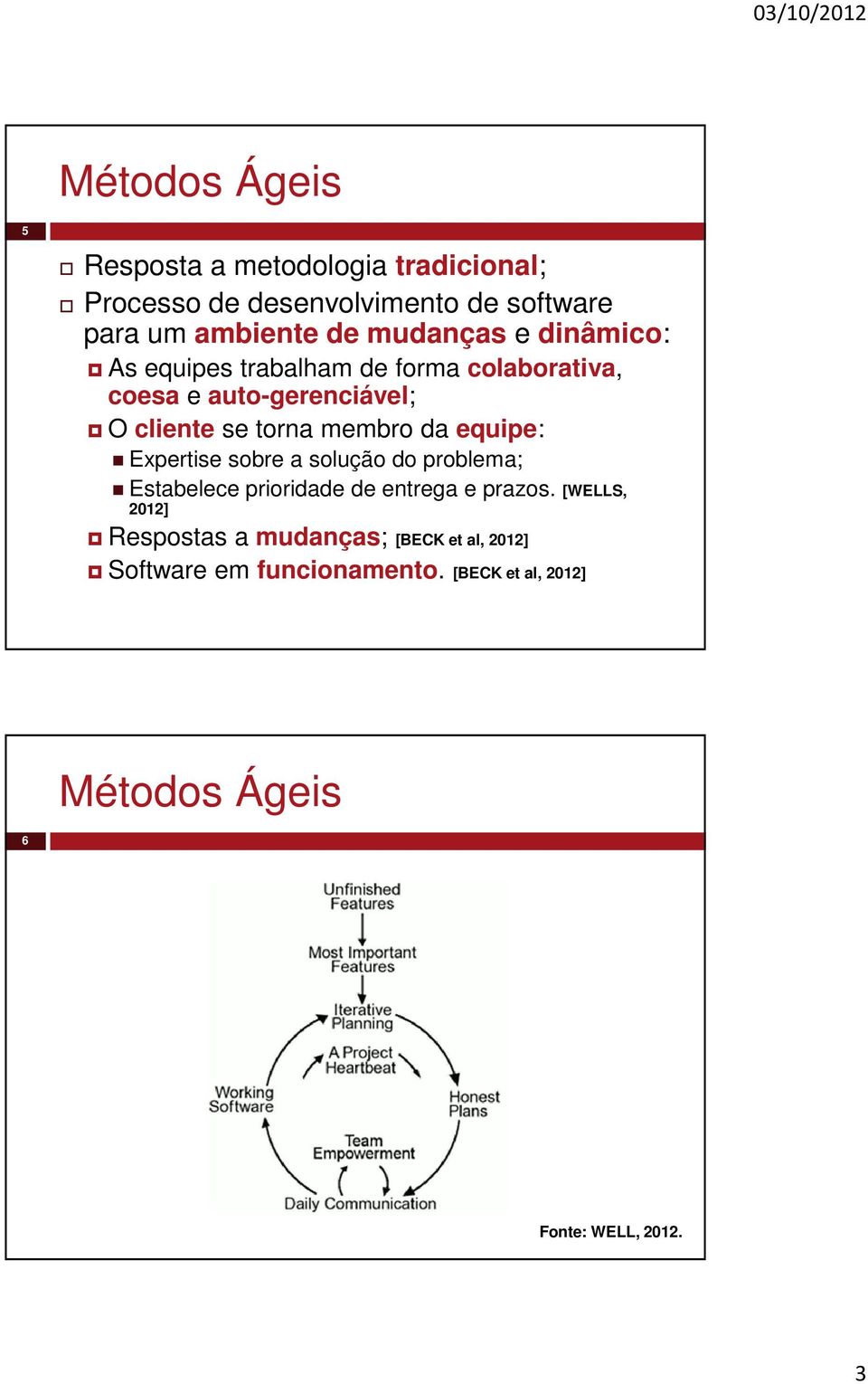 membro da equipe: Expertise sobre a solução do problema; Estabelece prioridade de entrega e prazos.