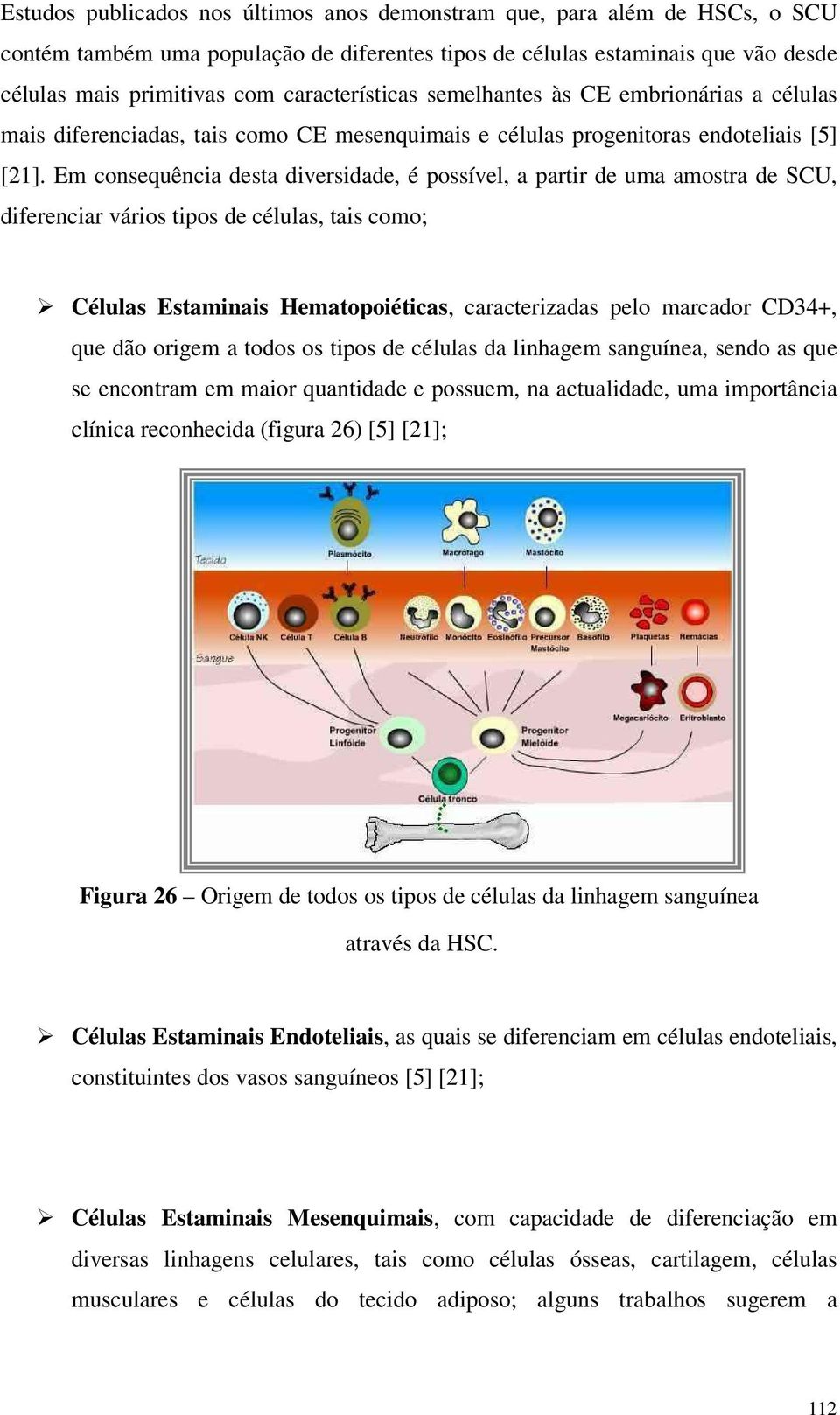 Em cnsequência desta diversidade, é pssível, a partir de uma amstra de SCU, diferenciar váris tips de células, tais cm; Células Estaminais Hematpiéticas, caracterizadas pel marcadr CD34+, que dã