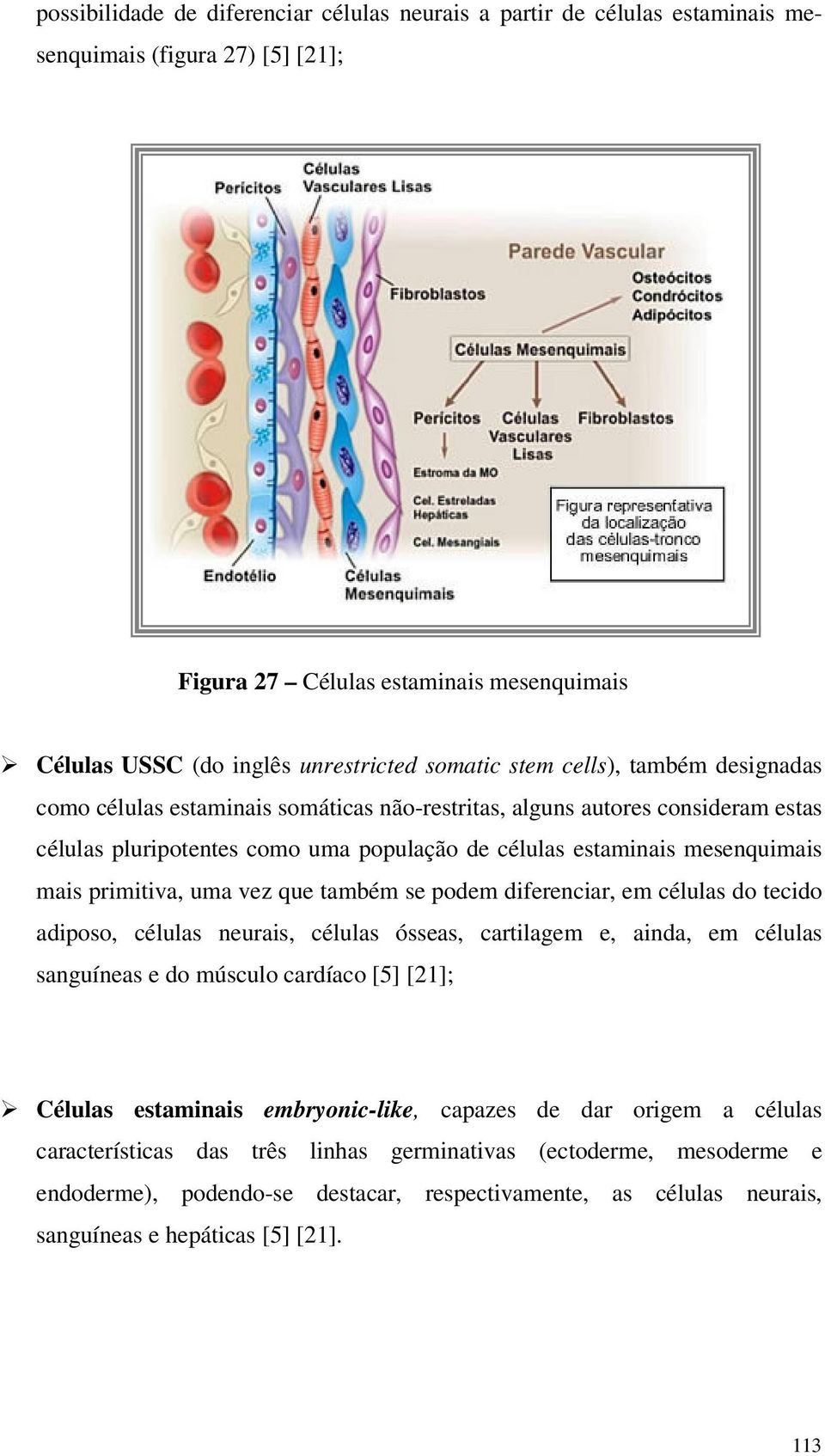 vez que também se pdem diferenciar, em células d tecid adips, células neurais, células ósseas, cartilagem e, ainda, em células sanguíneas e d múscul cardíac [5] [21]; Células estaminais