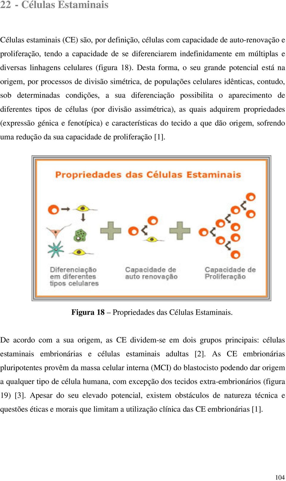 Desta frma, seu grande ptencial está na rigem, pr prcesss de divisã simétrica, de ppulações celulares idênticas, cntud, sb determinadas cndições, a sua diferenciaçã pssibilita apareciment de