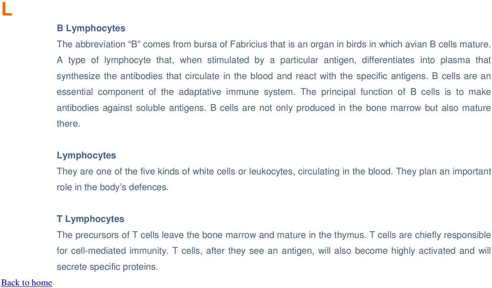 B cells are an essential component of the adaptative immune system. The principal function of B cells is to make antibodies against soluble antigens.