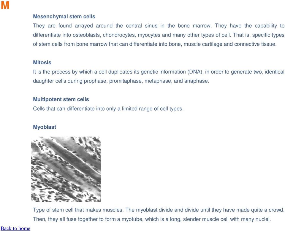 That is, specific types of stem cells from bone marrow that can differentiate into bone, muscle cartilage and connective tissue.