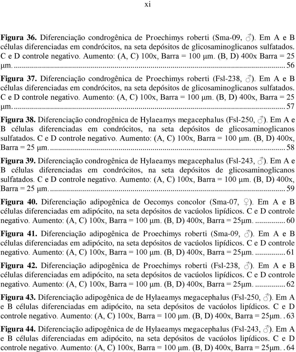 Em A e B células diferenciadas em condrócitos, na seta depósitos de glicosaminoglicanos sulfatados. C e D controle negativo. Aumento: (A, C) 100x, Barra = 100 μm. (B, D) 400x, Barra = 25 μm.