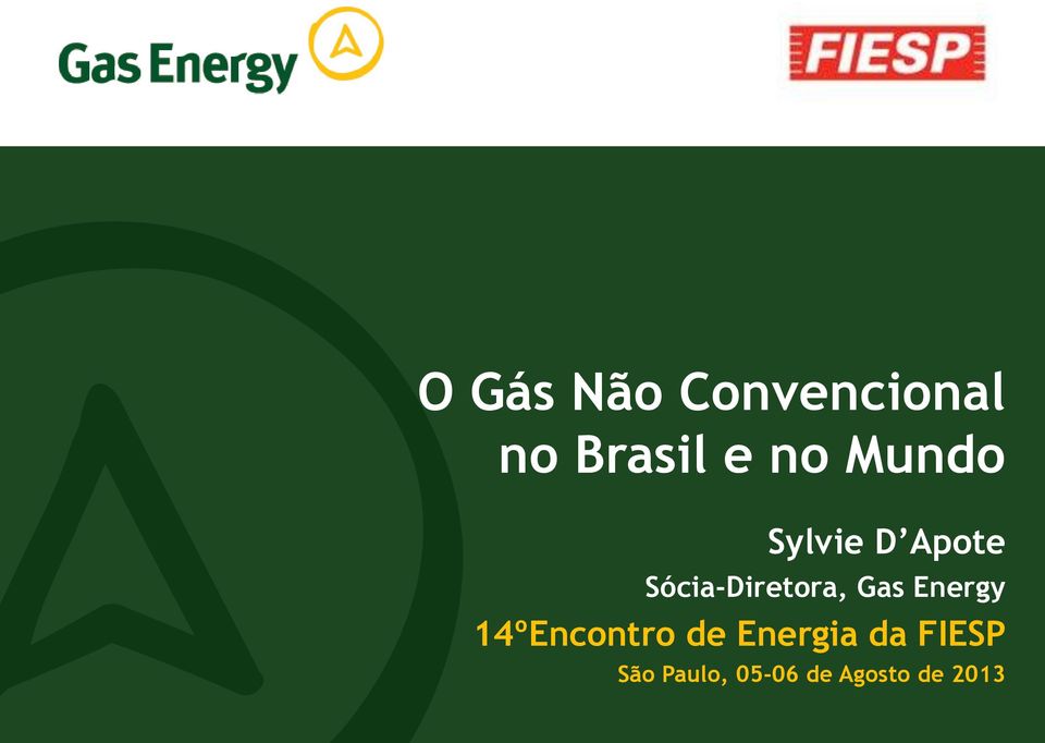 Gas Energy 14ºEncontro de Energia da