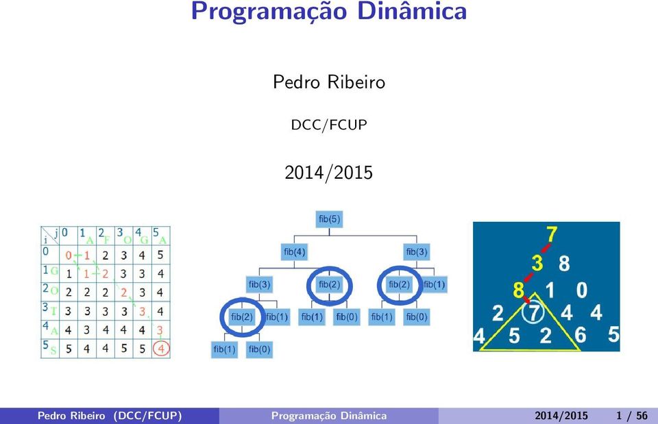 Pedro Ribeiro (DCC/FCUP)