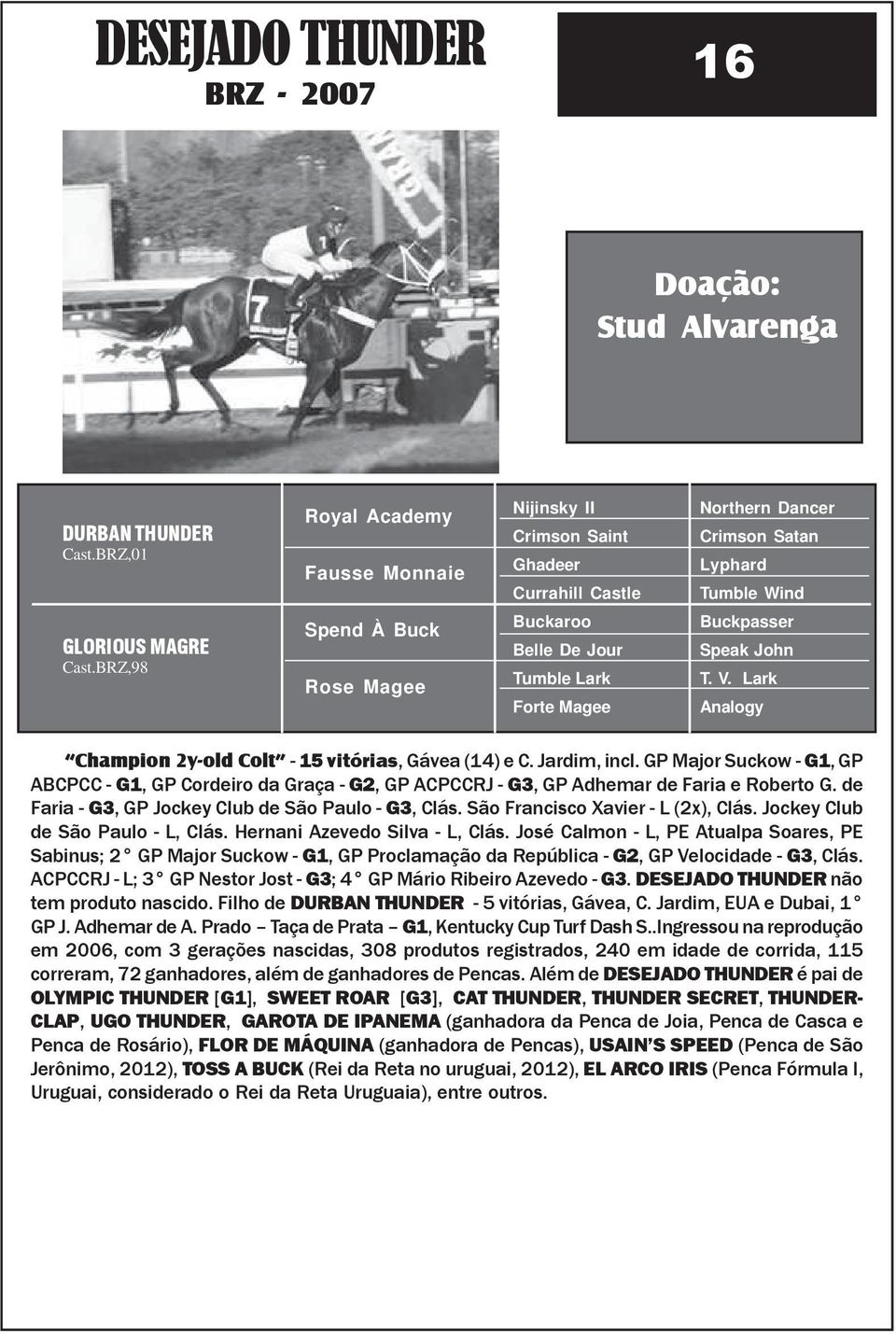 BRZ,98 Spend À Buck Rose Magee Buckaroo Belle De Jour Tumble Lark Forte Magee Buckpasser Speak John T. V. Lark Analogy Champion 2y-old Colt - 15 vitórias, Gávea (14) e C. Jardim, incl.