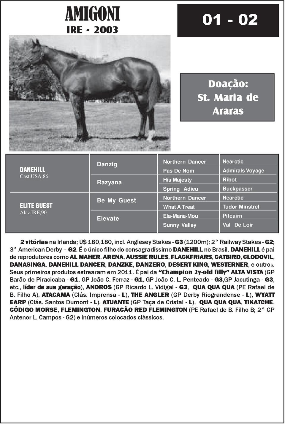 Anglesey Stakes - G3 (1200m); 2 Railway Stakes - G2; 3 American Derby G2. É o único filho do consagradíssimo DANEHILL no Brasil.