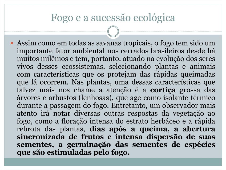 Nas plantas, uma dessas características que talvez mais nos chame a atenção é a cortiça grossa das árvores e arbustos (lenhosas), que age como isolante térmico durante a passagem do fogo.