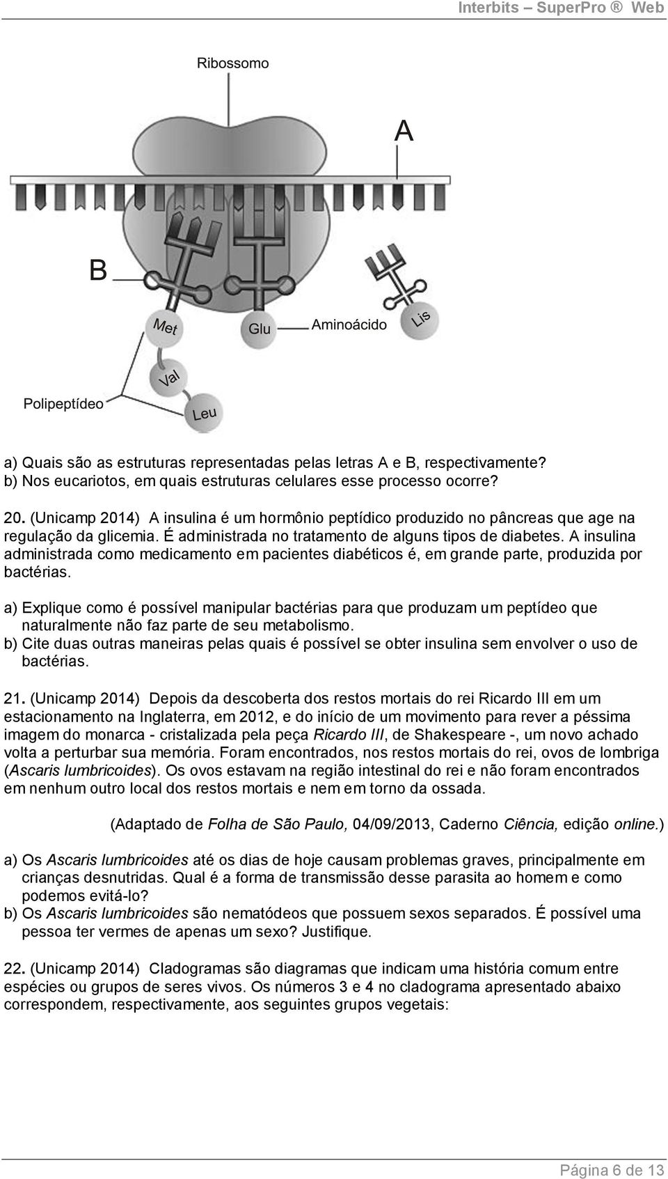 A insulina administrada como medicamento em pacientes diabéticos é, em grande parte, produzida por bactérias.