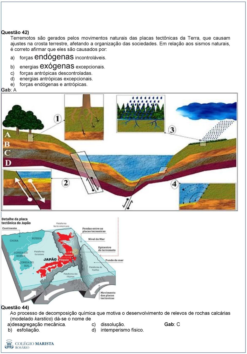 c) forças antrópicas descontroladas. d) energias antrópicas excepcionais. e) forças endógenas e antrópicas.