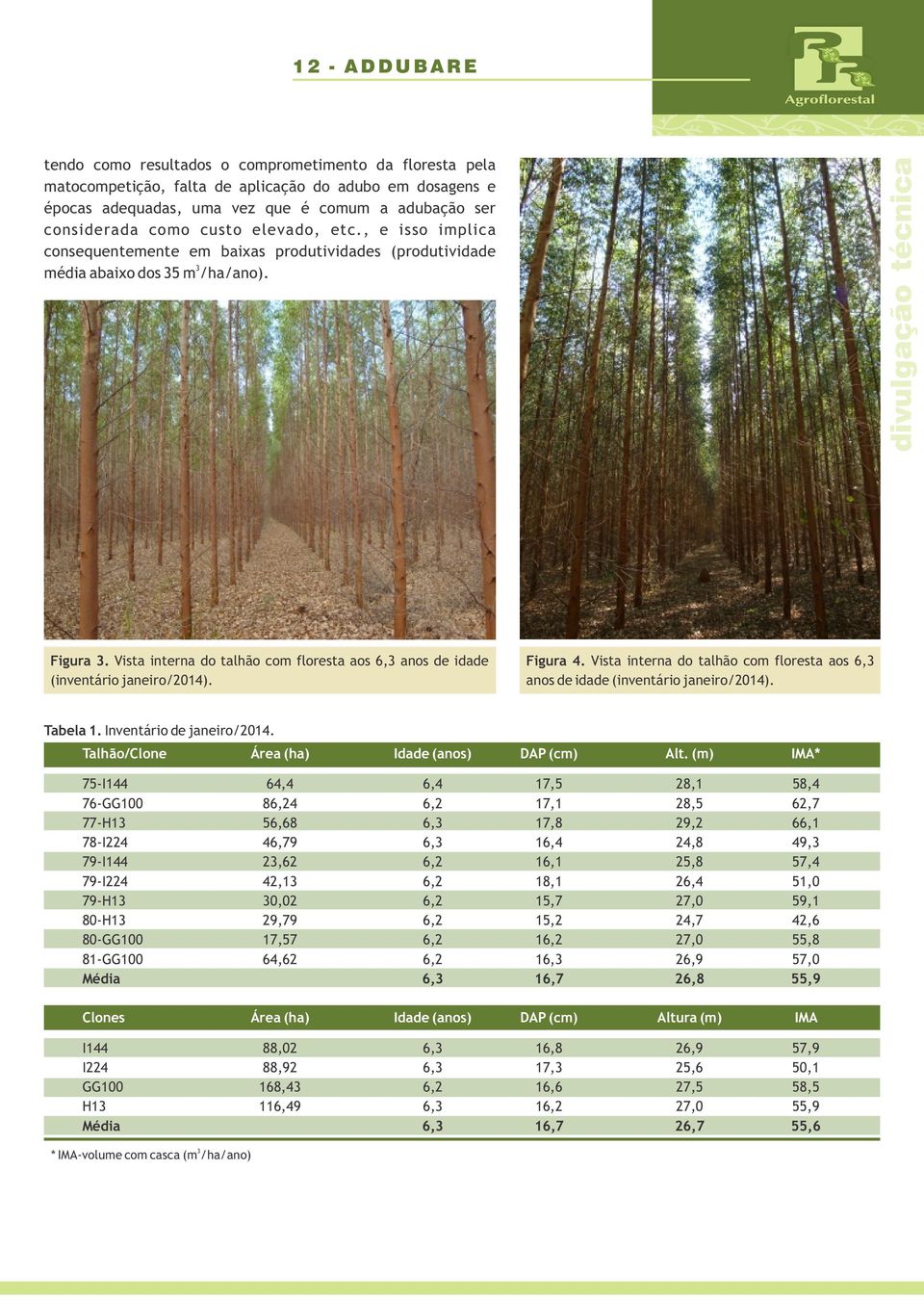 Vista interna do talhão com floresta aos 6,3 anos de idade (inventário janeiro/2014). Figura 4. Vista interna do talhão com floresta aos 6,3 anos de idade (inventário janeiro/2014). Tabela 1.