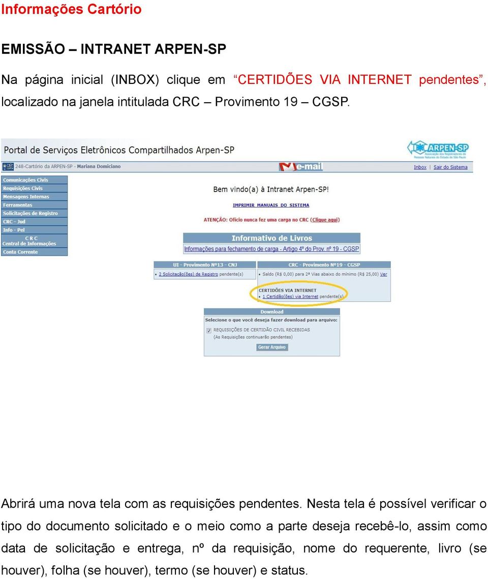 Nesta tela é possível verificar o tipo do documento solicitado e o meio como a parte deseja recebê-lo, assim como