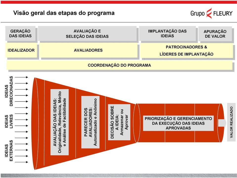 Aprovar DIRECIONA VALOR REALIZADO Visão geral das etapas do programa IDEALIZADOR IDEALIZADOR PATROCINADORES & AVALIADORES PATROCINADORES &