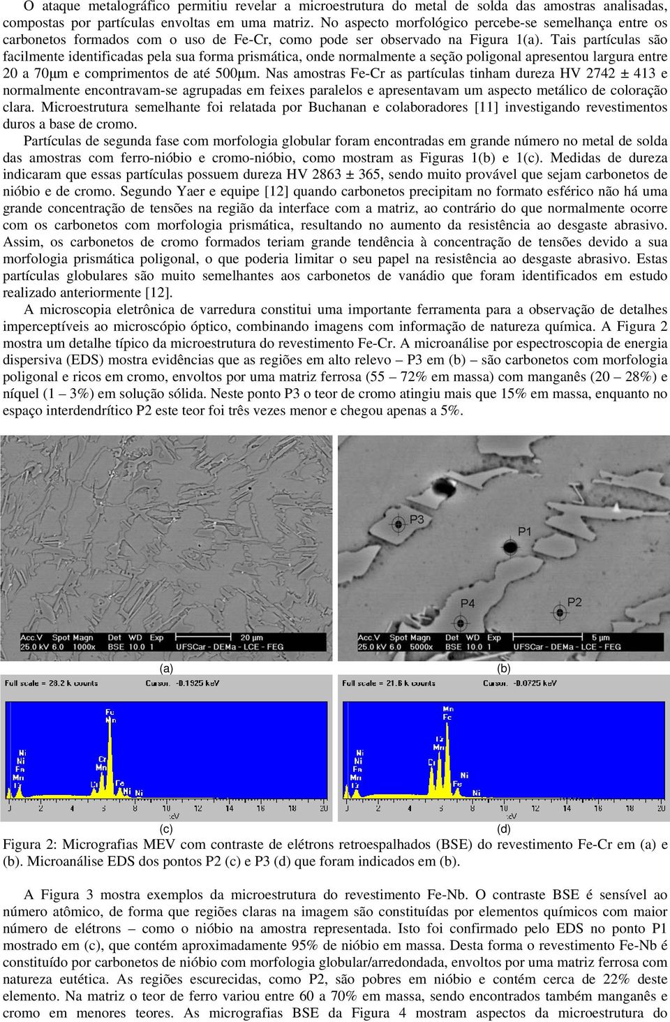 Tais partículas são facilmente identificadas pela sua forma prismática, onde normalmente a seção poligonal apresentou largura entre 20 a 70μm e comprimentos de até 500μm.