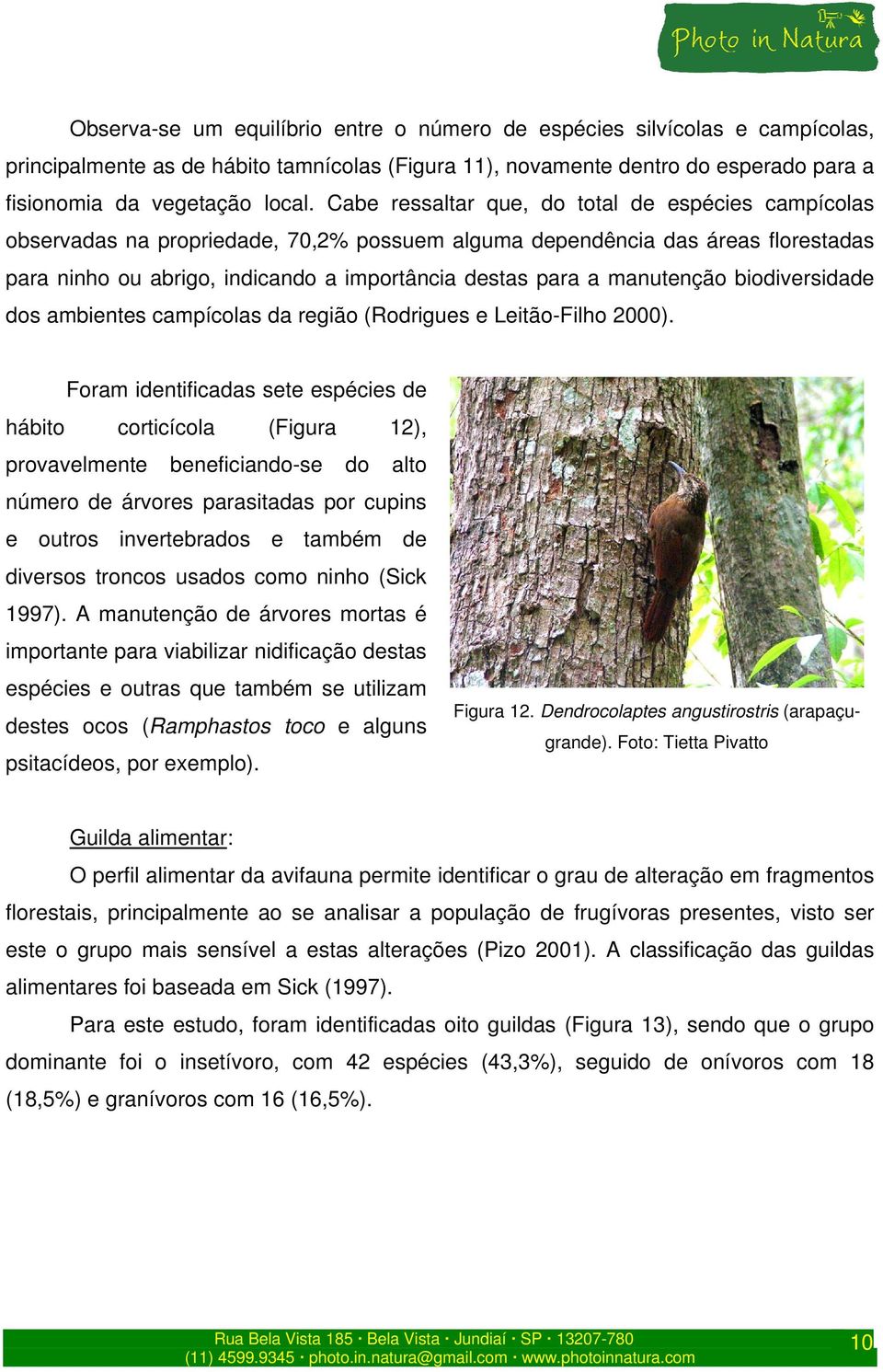 manutenção biodiversidade dos ambientes campícolas da região (Rodrigues e Leitão-Filho 2000).