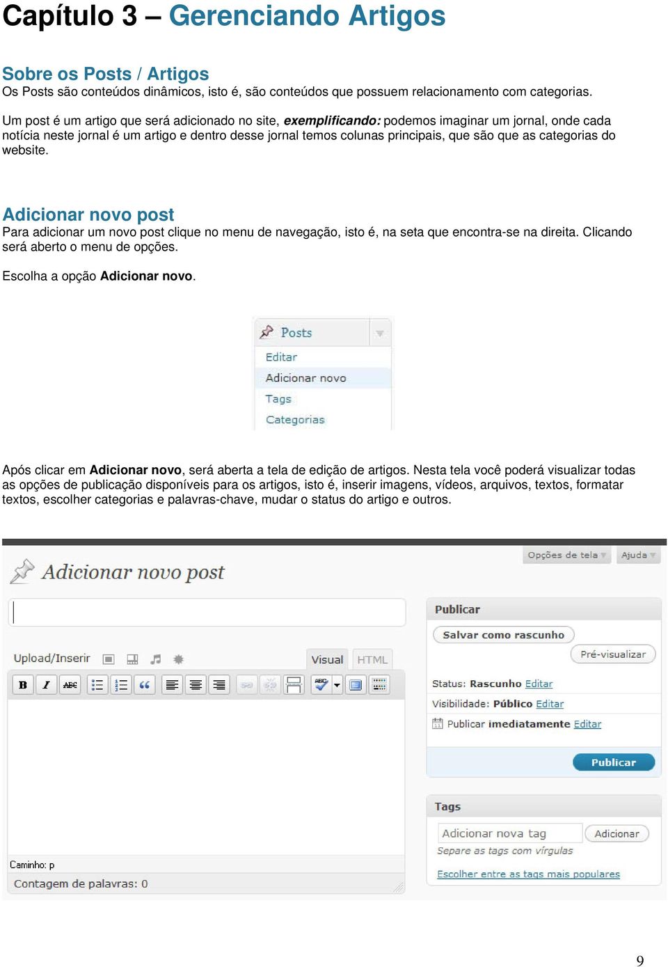 categorias do website. Adicionar novo post Para adicionar um novo post clique no menu de navegação, isto é, na seta que encontra-se na direita. Clicando será aberto o menu de opções.