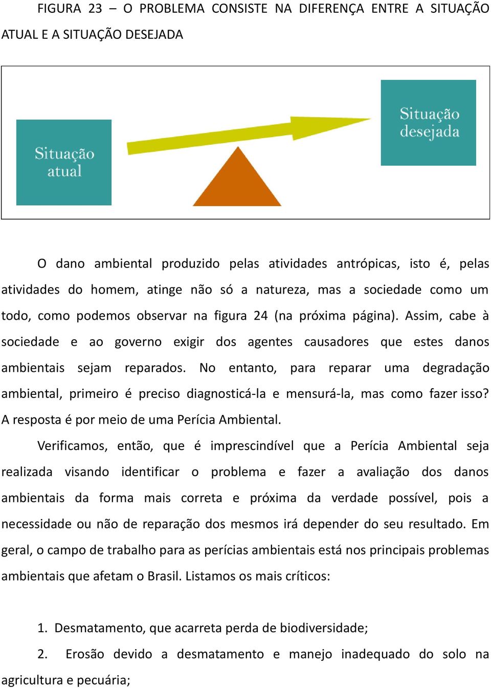 Assim, cabe à sociedade e ao governo exigir dos agentes causadores que estes danos ambientais sejam reparados.