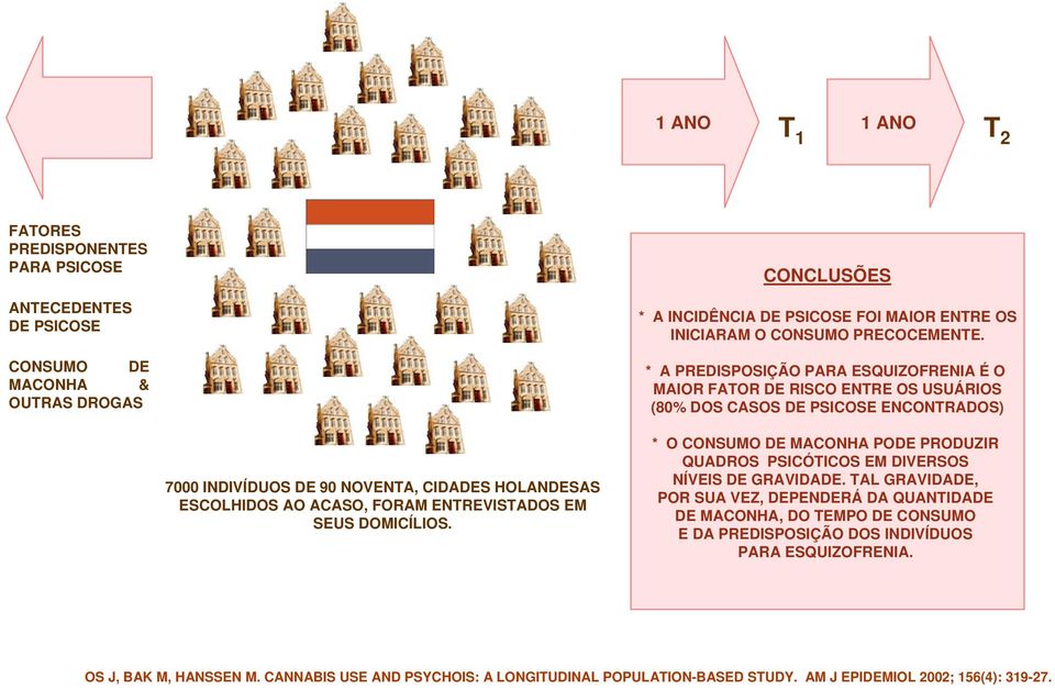 * A PREDISPOSIÇÃO PARA ESQUIZOFRENIA É O MAIOR FATOR DE RISCO ENTRE OS USUÁRIOS (80% DOS CASOS DE PSICOSE ENCONTRADOS) 7000 INDIVÍDUOS DE 90 NOVENTA, CIDADES HOLANDESAS ESCOLHIDOS AO ACASO, FORAM