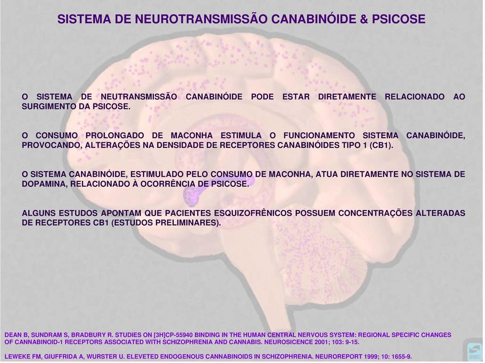 MEMÓRIA O SISTEMA CANABINÓIDE, ESTIMULADO PELO CONSUMO DE MACONHA, MEMÓRIA DE ATUA FIXAÇÃO DIRETAMENTE NO SISTEMA DE PREJUDICADA CÓRTEX DOPAMINA, PRÉ-FRONTAL RELACIONADO À OCORRÊNCIA DE PSICOSE.