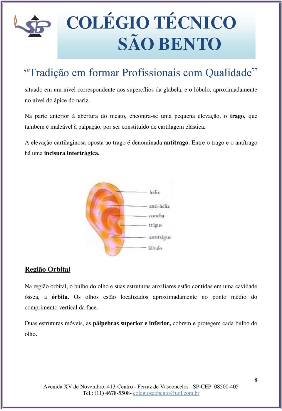 A elevação cartilaginosa oposta ao trago é denominada antítrago. Entre o trago e o antítrago há uma incisura intertrágica.