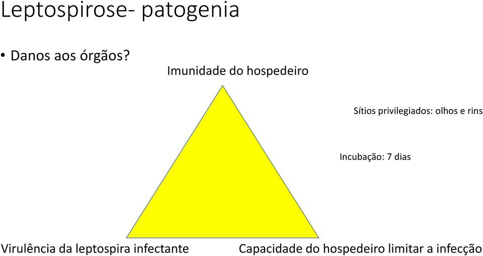 olhos e rins Incubação: 7 dias Virulência da