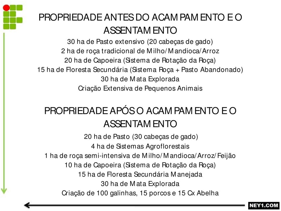 PROPRIEDADE APÓS O ACAMPAMENTO E O ASSENTAMENTO 20 ha de Pasto (30 cabeças de gado) 4 ha de Sistemas Agroflorestais 1 ha de roça semi-intensiva de