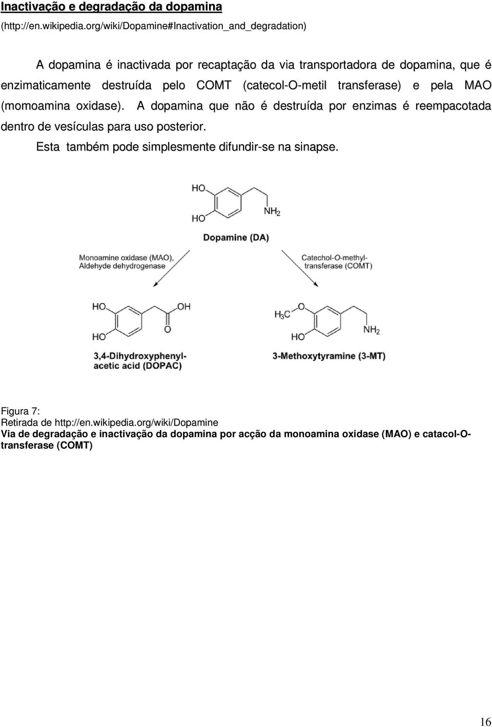 destruída pelo COMT (catecol-o-metil transferase) e pela MAO (momoamina oxidase).