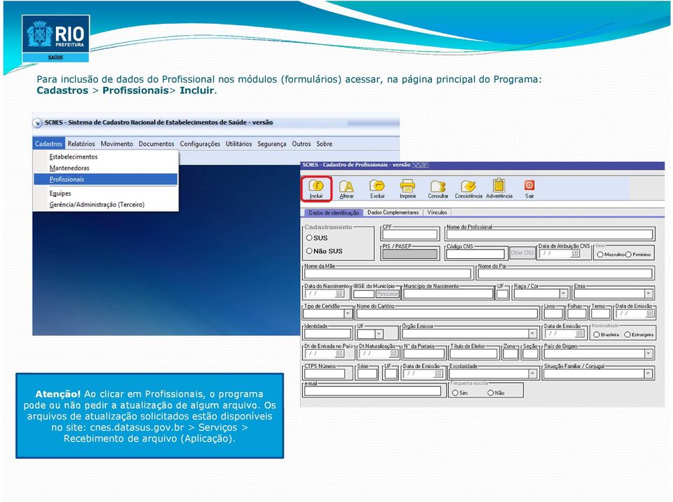 Ao clicar em Profissionais, o programa pode ou não pedir a atualização de algum arquivo.