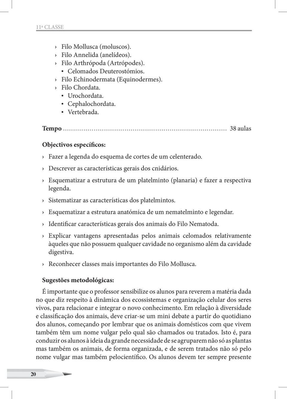 Esquematizar a estrutura de um platelminto (planaria) e fazer a respectiva legenda. Sistematizar as características dos platelmintos. Esquematizar a estrutura anatómica de um nematelminto e legendar.