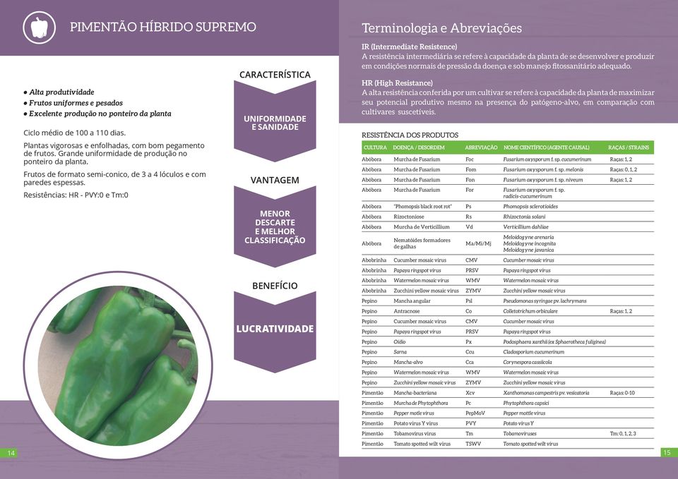 Resistências: HR - PVY:0 e Tm:0 UNIFORMIDADE E SANIDADE MENOR DESCARTE E MELHOR CLASSIFICAÇÃO IR (Intermediate Resistence) A resistência intermediária se refere à capacidade da planta de se