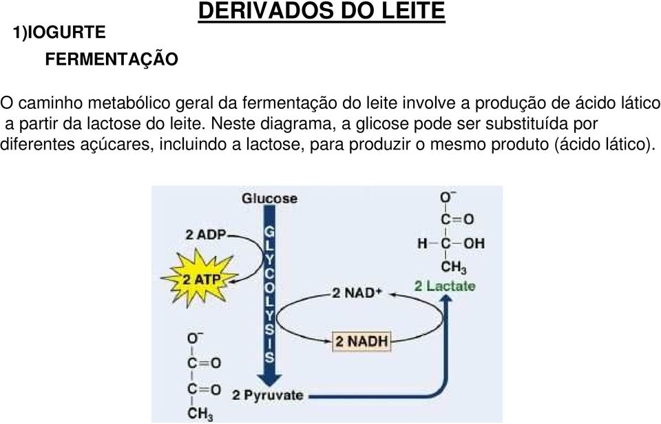 lactose do leite.