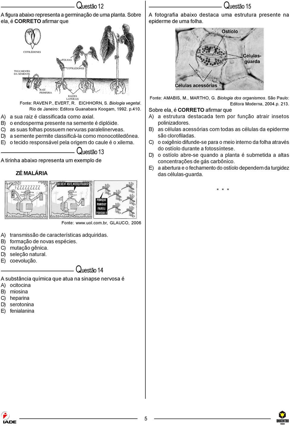 Biologia vegetal Rio de Janeiro: Editora Guanabara Koogam, 99 p40 A) a sua raiz é classificada como axial B) o endosperma presente na semente é diplóide C) as suas folhas possuem nervuras