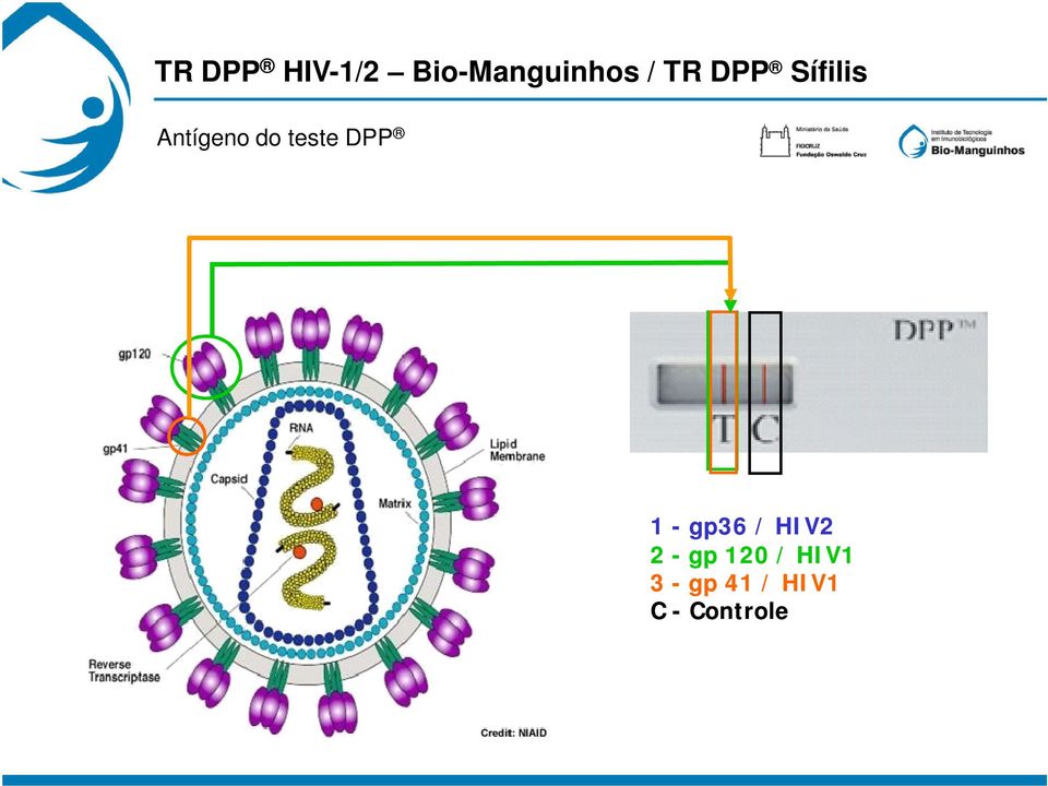 DPP 1 - gp36 / HIV2 2 - gp 120 /