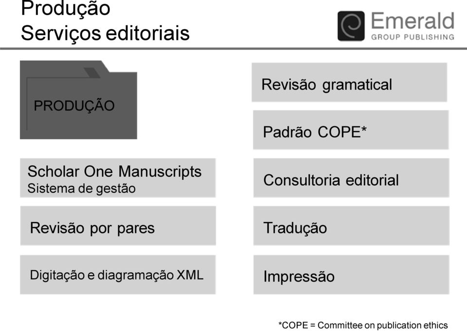 gramatical Padrão COPE* Consultoria editorial Tradução