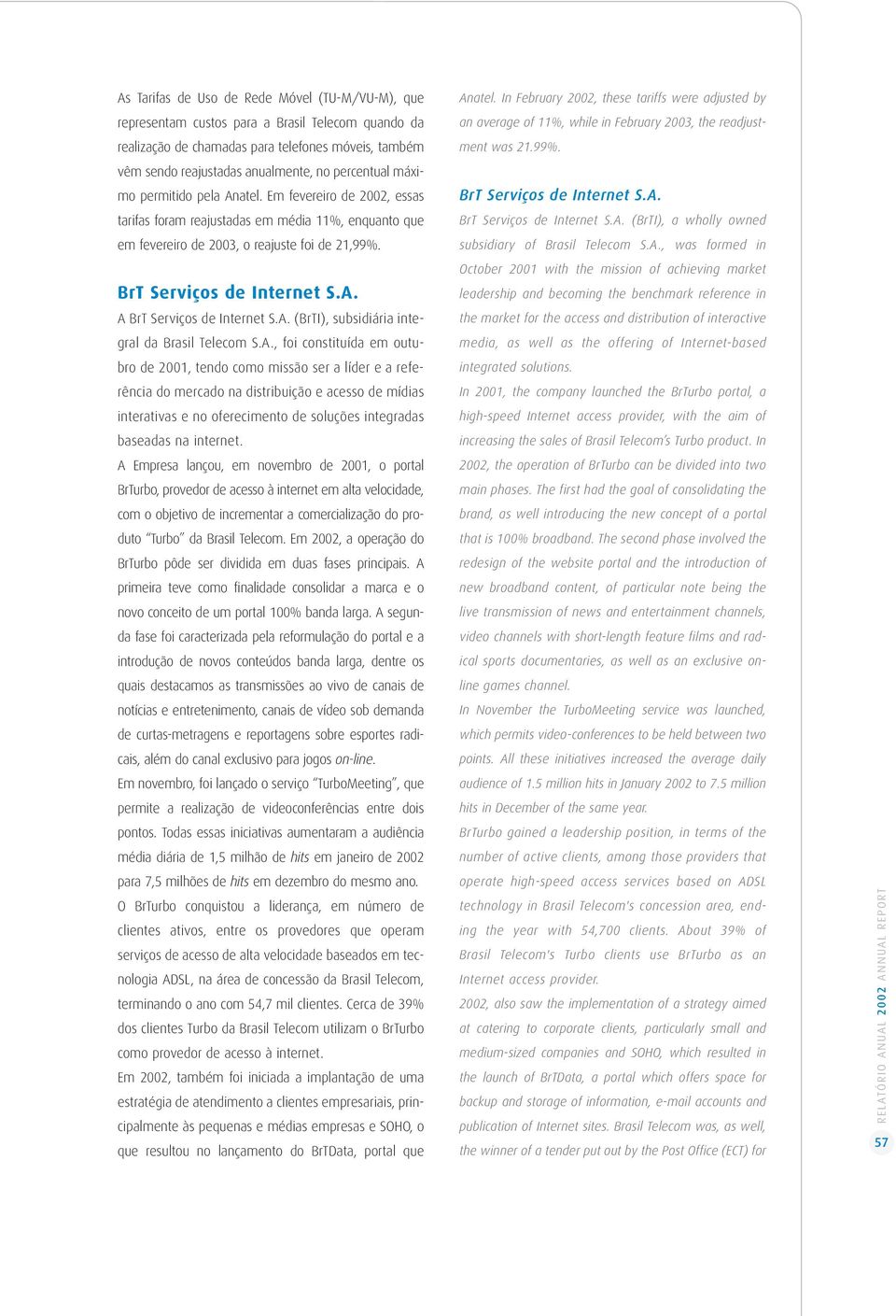 A. (BrTI), subsidiária integral da Brasil Telecom S.A., foi constituída em outubro de 2001, tendo como missão ser a líder e a referência do mercado na distribuição e acesso de mídias interativas e no