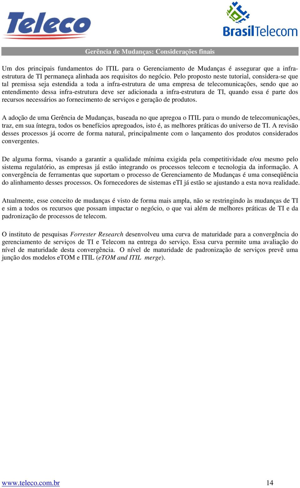 adicionada a infra-estrutura de TI, quando essa é parte dos recursos necessários ao fornecimento de serviços e geração de produtos.