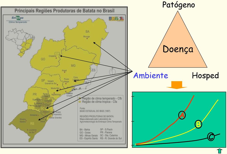 Ambiente