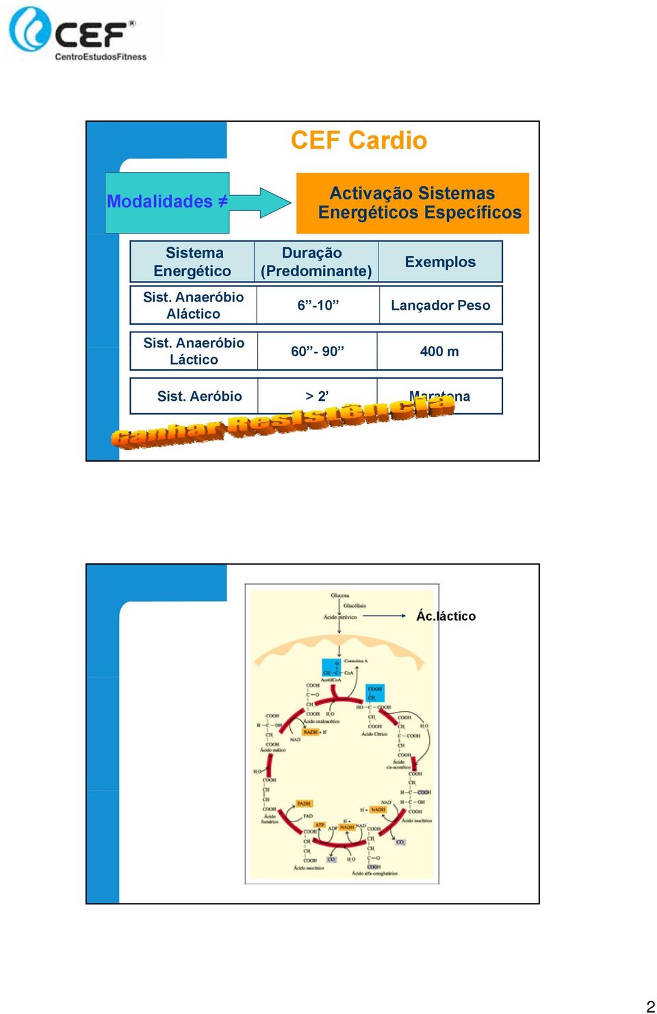 Sst Anaeróbio aeóbo Láctico Activação Sistemas Energéticos