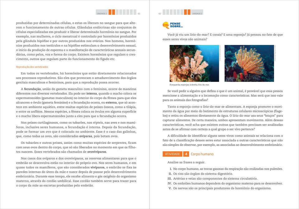 homens, hormônios produzidos nos testículos e na hipófise estimulam o desenvolvimento sexual, o início da produção de esperma e a manifestação de características sexuais secundárias, como pelos, voz