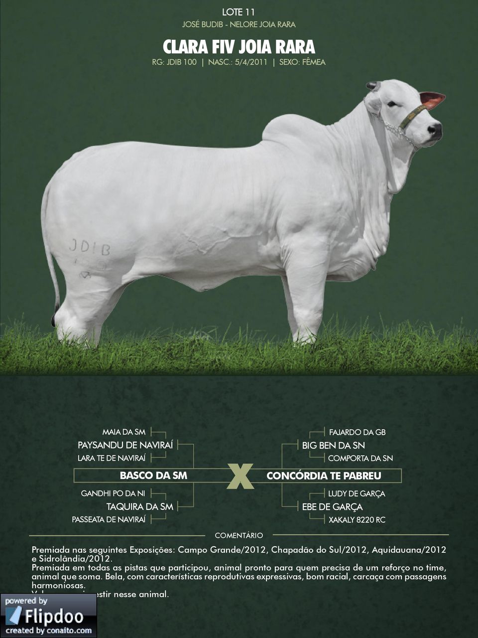 CONCÓRDIA TE PABREU EBE DE GARÇA XAKALY 8220 RC Premiada nas seguintes Exposições: Campo Grande/2012, Chapadão do Sul/2012, Aquidauana/2012 e Sidrolândia/2012.