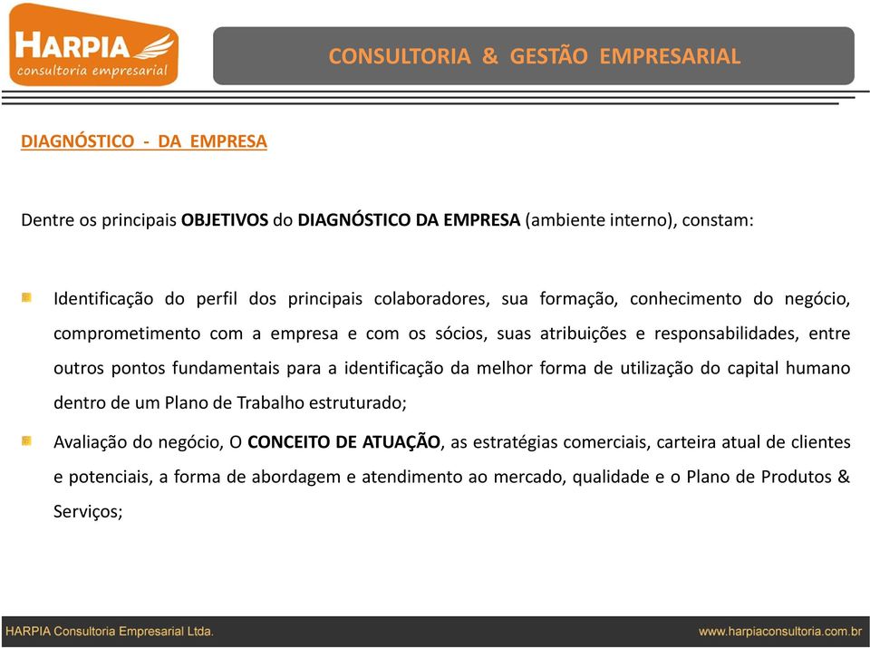 pontos fundamentais para a identificação da melhor forma de utilização do capital humano dentro de um Plano de Trabalho estruturado; Avaliação do negócio, O CONCEITO