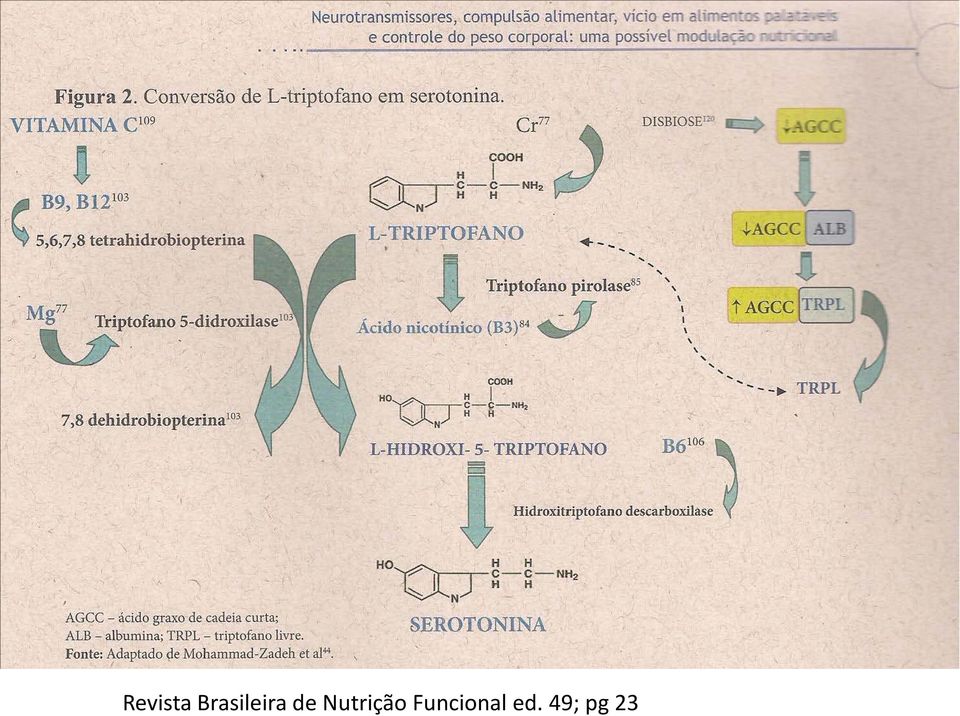 Nutrição