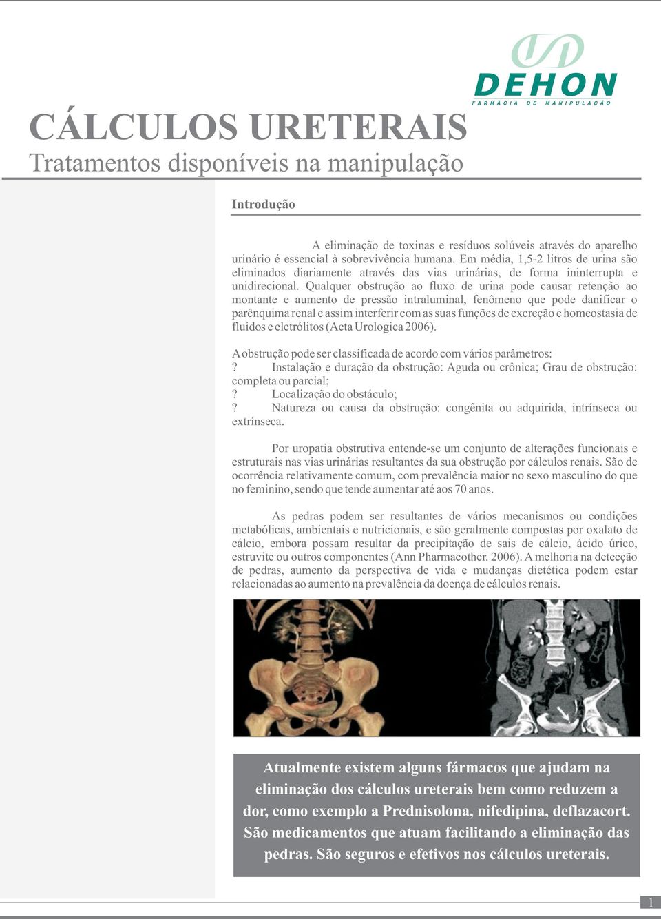 Qualquer obstrução ao fluxo de urina pode causar retenção ao montante e aumento de pressão intraluminal, fenômeno que pode danificar o parênquima renal e assim interferir com as suas funções de