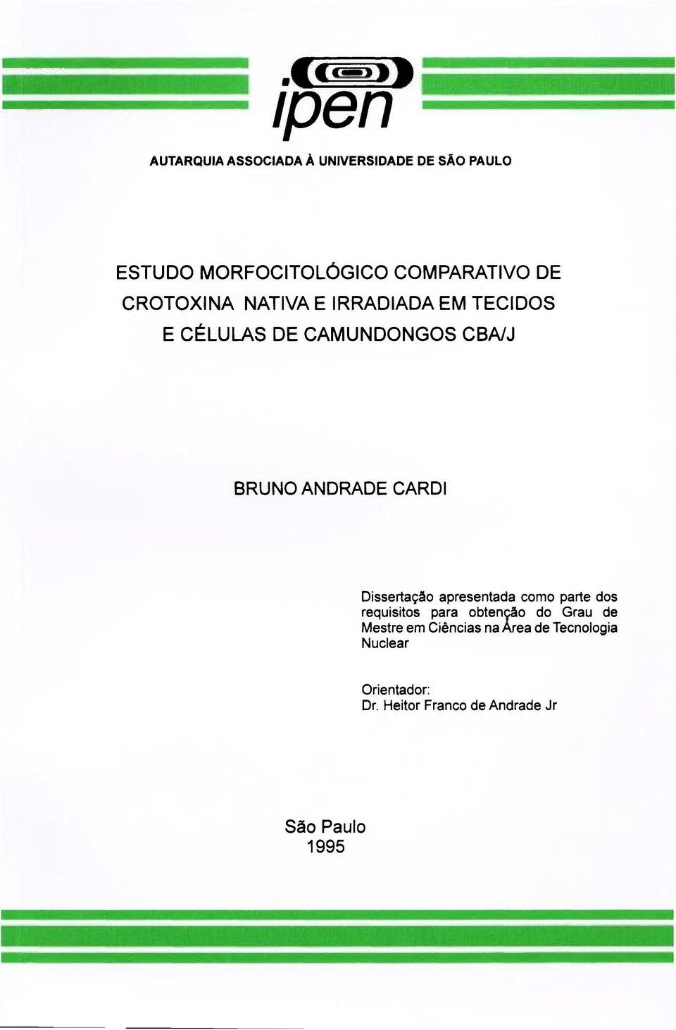 Dissertação apresentada como parte dos requisitos para obtenção do Grau de Mestre em