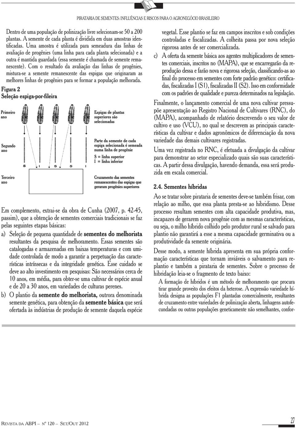 Com o resultado da avaliação das linhas de progênies, mistura-se a semente remanescente das espigas que originaram as melhores linhas de progênies para se formar a população melhorada.